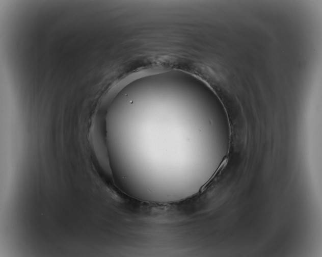 X0000086781345200704201816