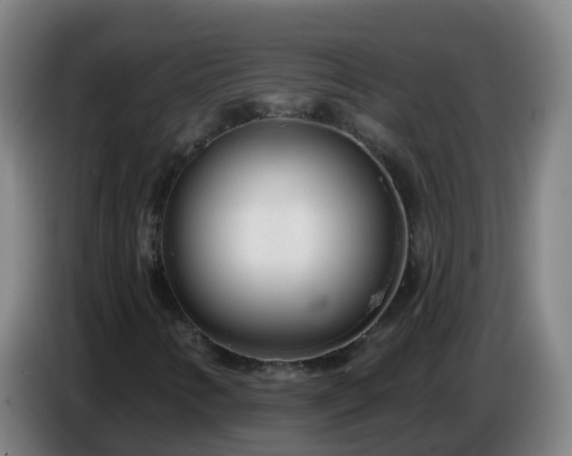 X0000086781346200704201816