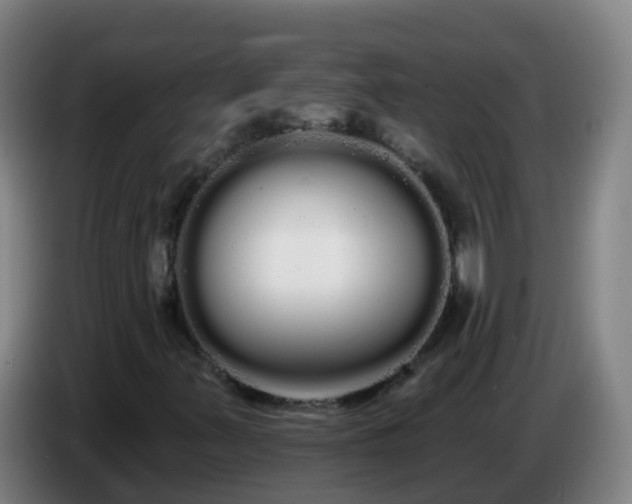 X0000086781347200704201816