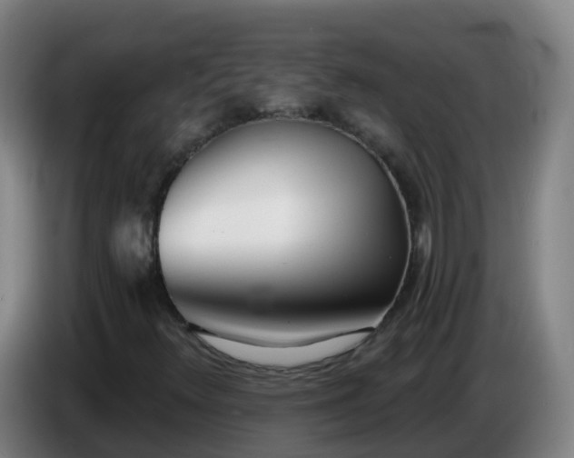 X0000086781348200704201816