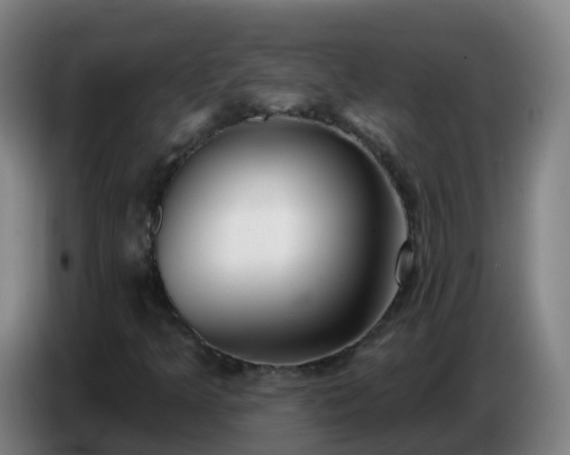 X0000086781349200704201816