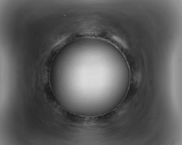 X0000086781350200704201816