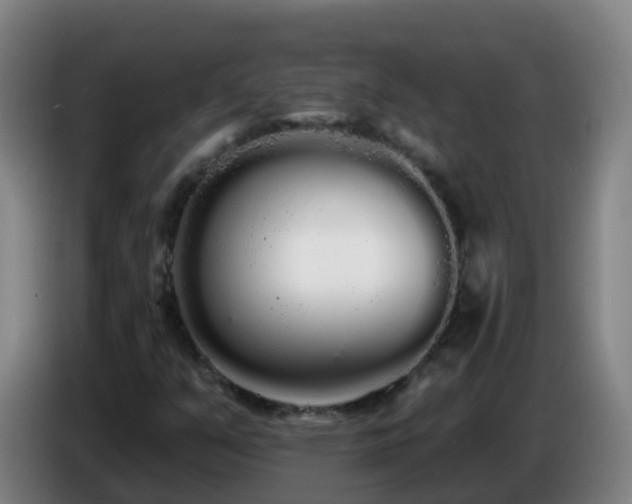 X0000086781351200704201816