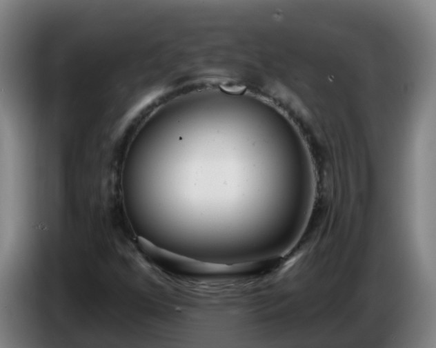 X0000086781352200704201816