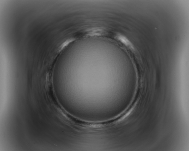 X0000086781353200704201816