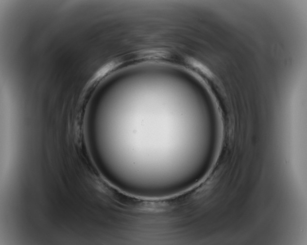 X0000086781354200704201816