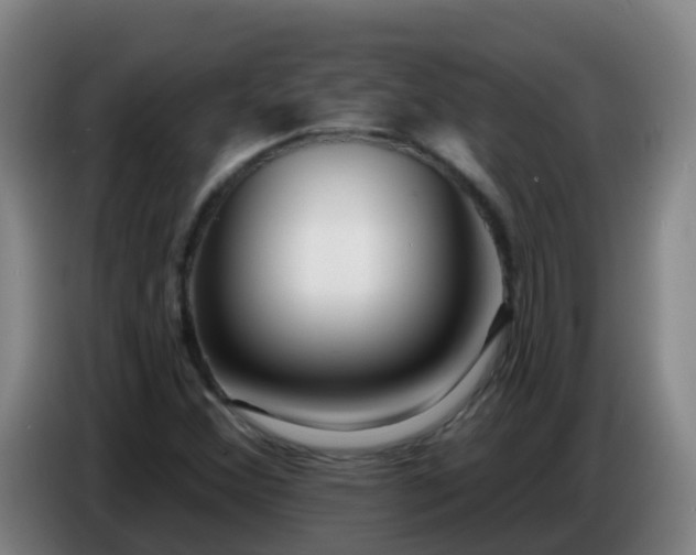 X0000086781356200704201816