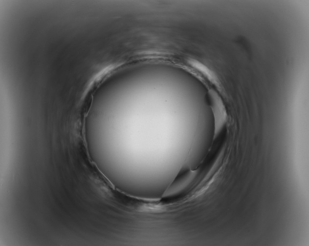 X0000086781357200704201816