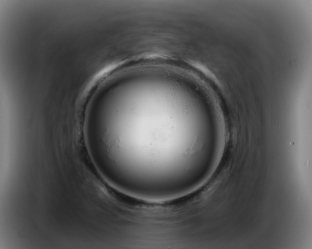 X0000086781359200704201816