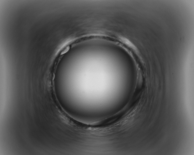 X0000086781360200704201816