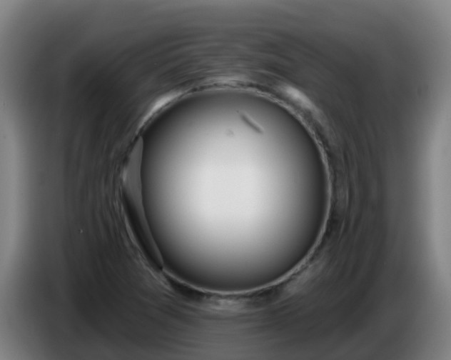 X0000086781361200704201816