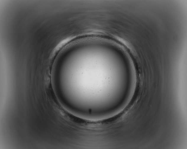 X0000086781363200704201816