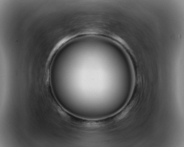 X0000086781366200704201816