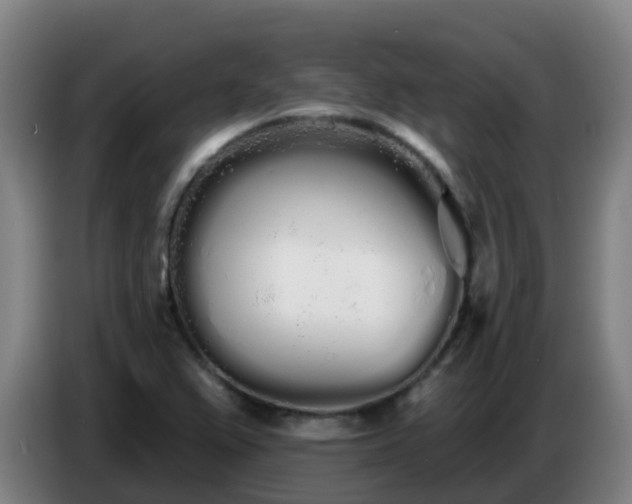 X0000086781367200704201816