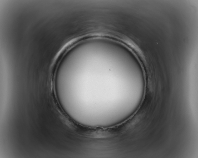 X0000086781368200704201816