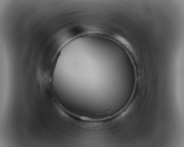 X0000086781369200704201816