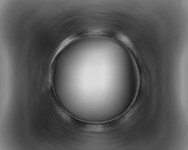 X0000086781370200704201816