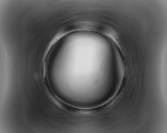 X0000086781371200704201816