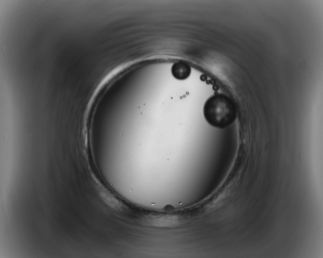 X0000086781372200704201816