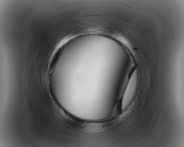 X0000086781373200704201816