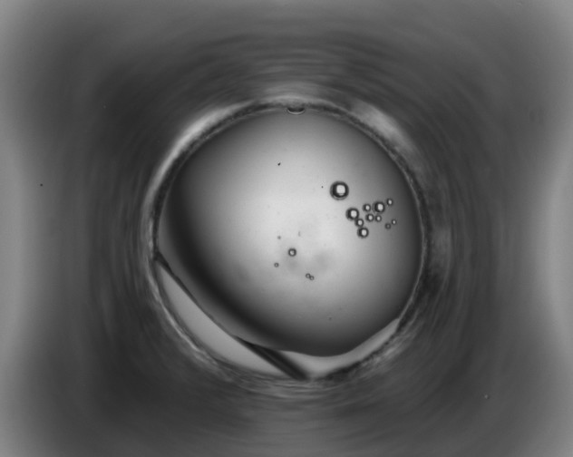 X0000086781376200704201816