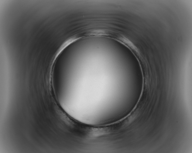 X0000086781378200704201816