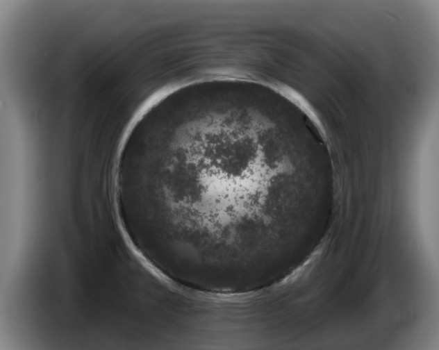 X0000086781381200704201816