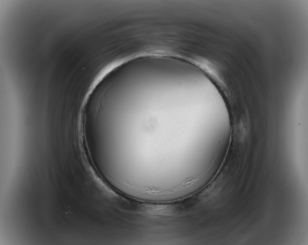 X0000086781382200704201816