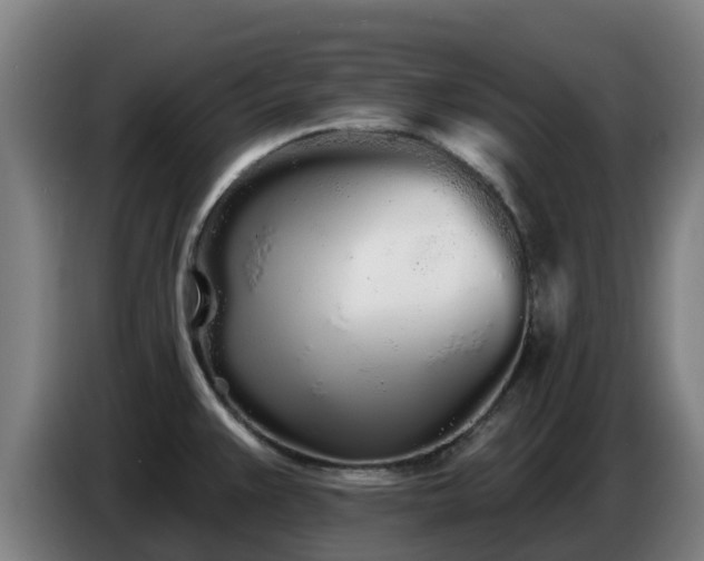 X0000086781383200704201816