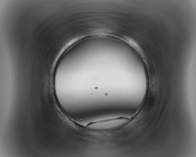 X0000086781384200704201816