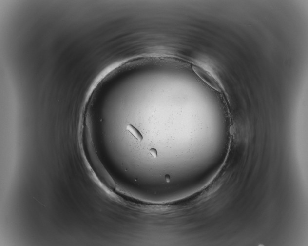 X0000086781387200704201815