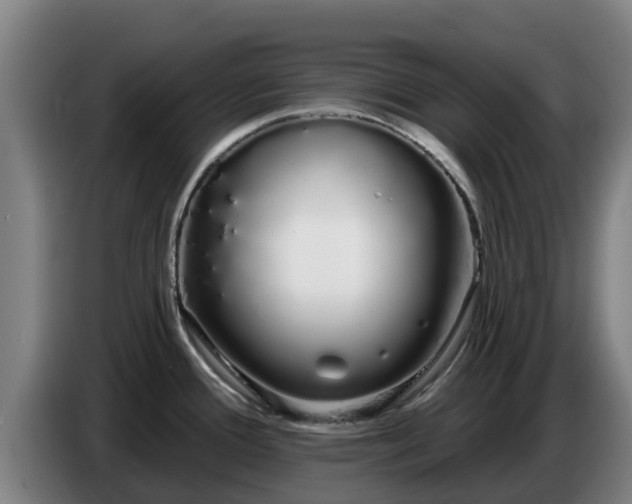 X0000086781388200704201815