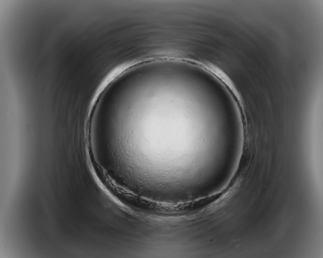 X0000086781389200704201815