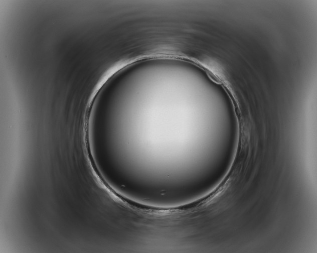 X0000086781390200704201815