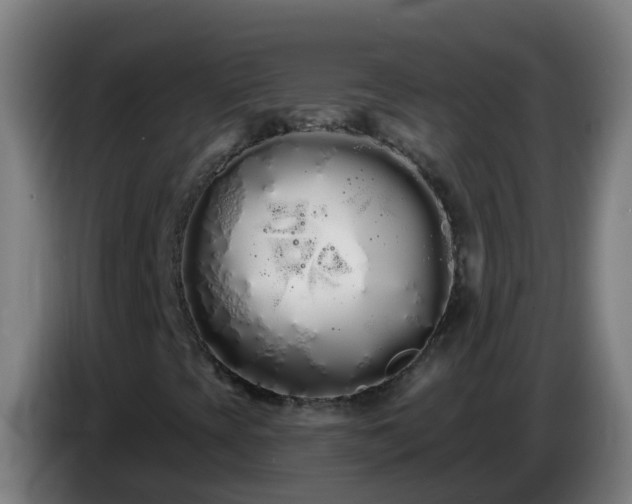 X0000086781393200704201815