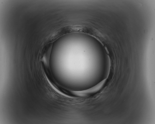 X0000086781394200704201815