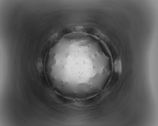 X0000086781395200704201815