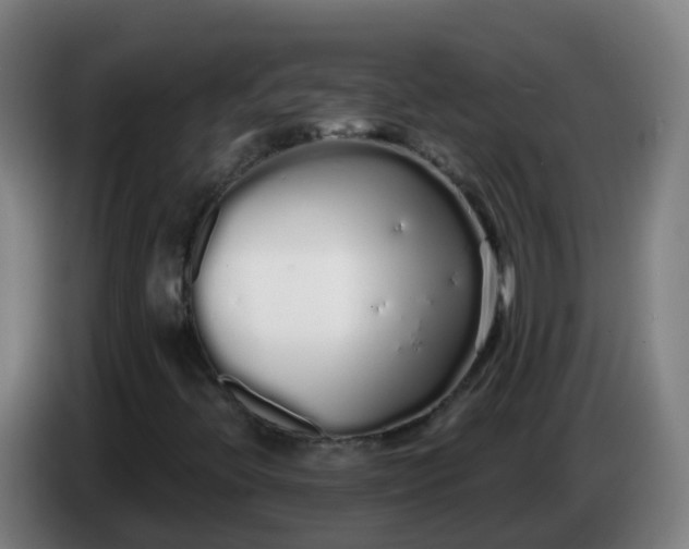 X0000086781396200704201815