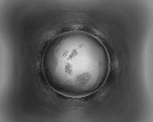 X0000086781397200704201815