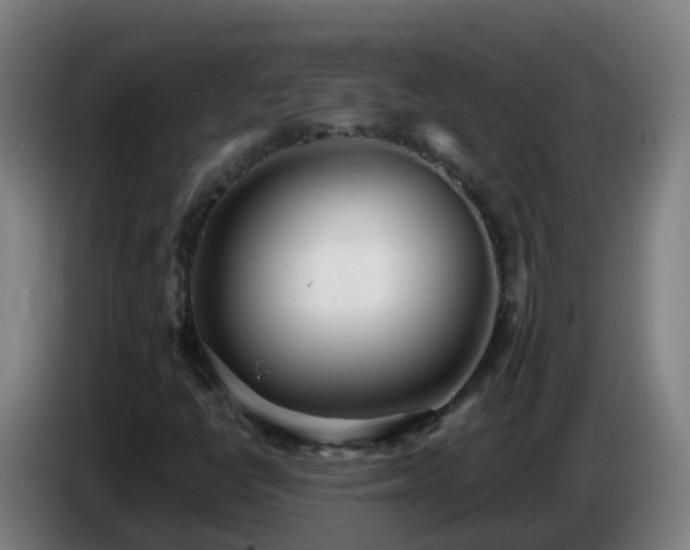 X0000086781398200704201815