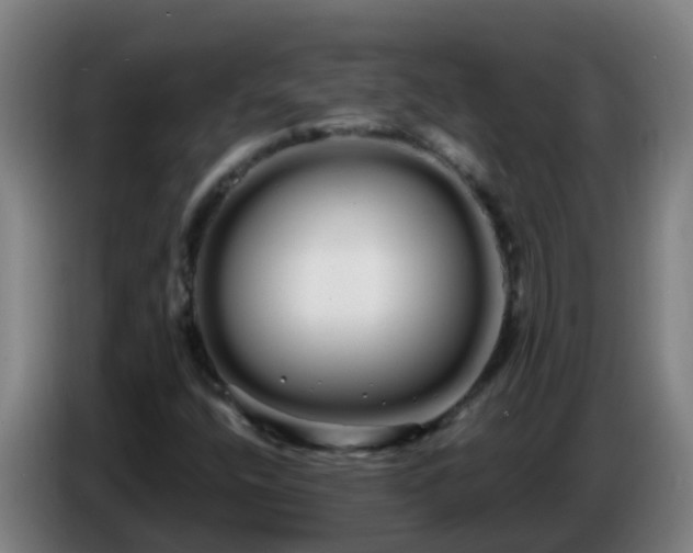 X0000086781400200704201815