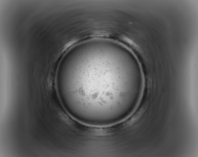 X0000086781401200704201815