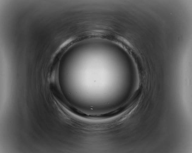 X0000086781402200704201815