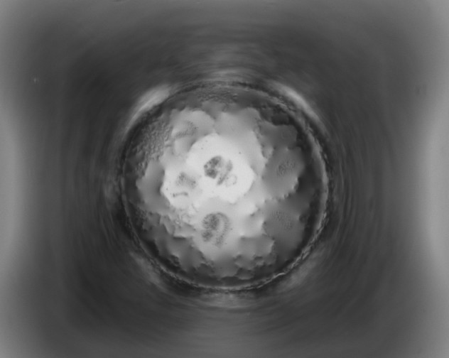 X0000086781405200704201815