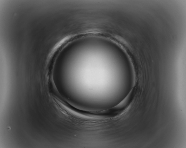 X0000086781406200704201815