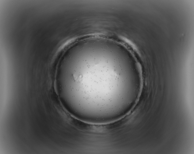 X0000086781407200704201815