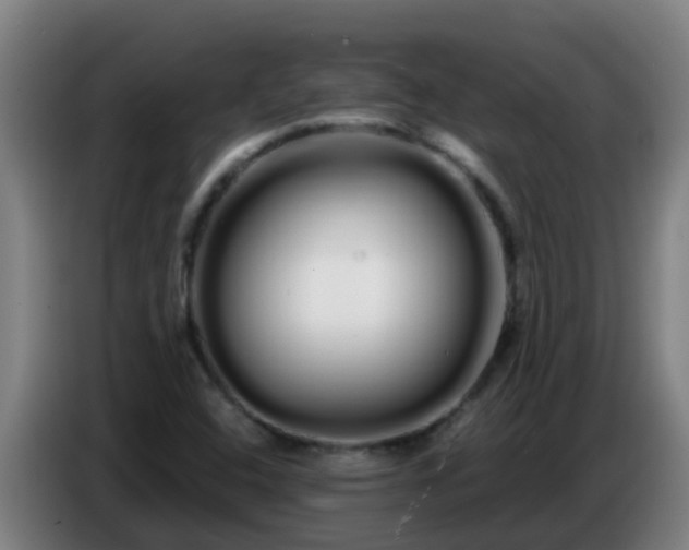 X0000086781408200704201815