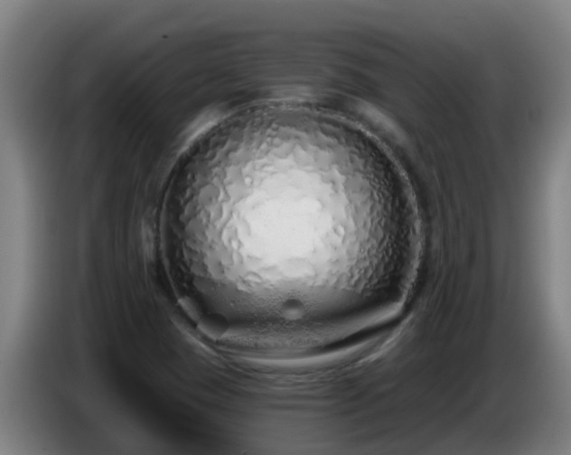 X0000086781409200704201815