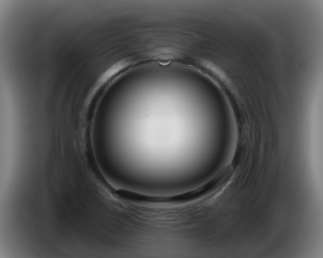 X0000086781410200704201815