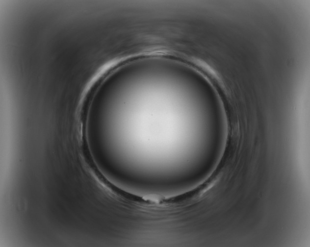 X0000086781414200704201815